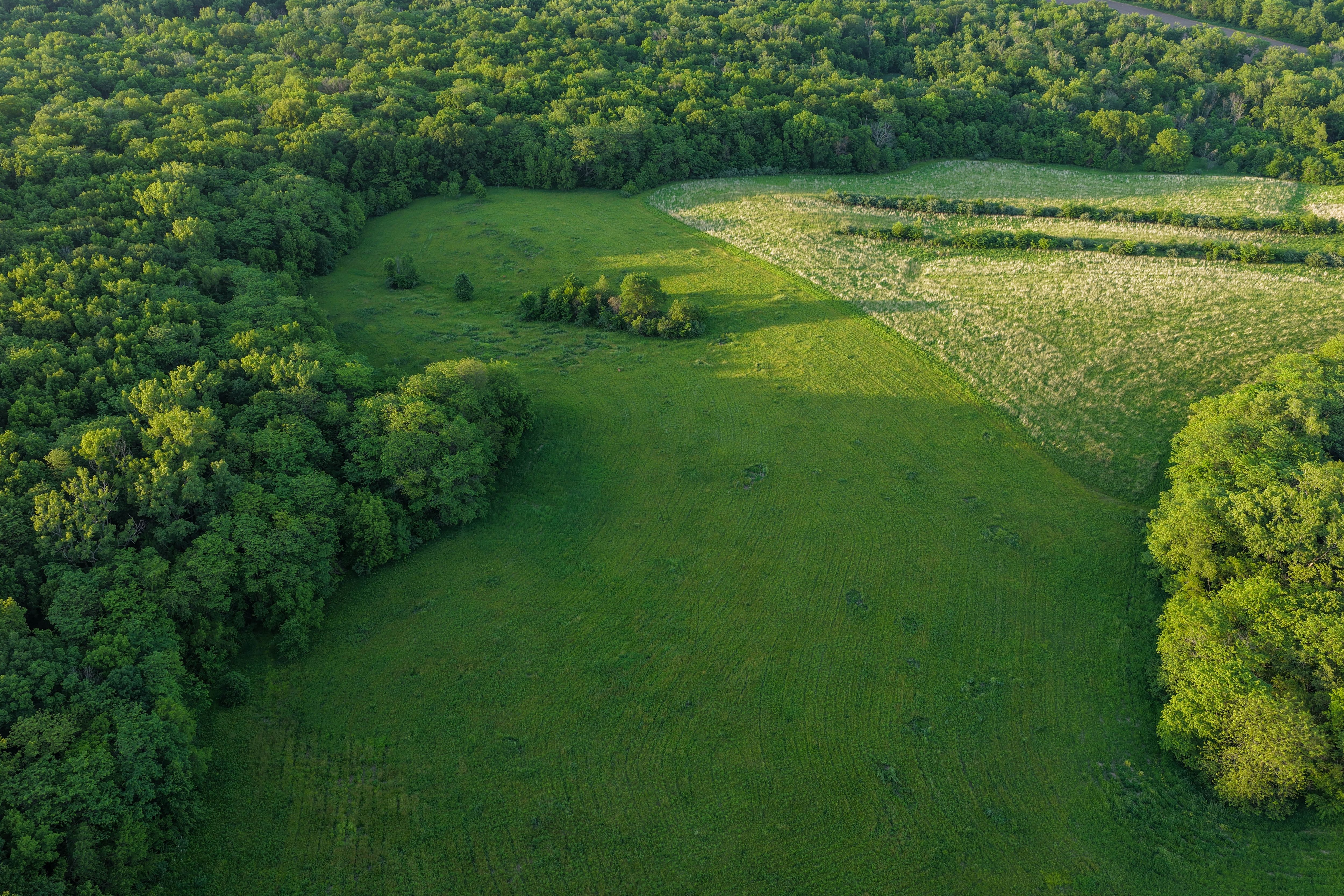 Listing Photo: Washington County Iowa Recreational Land For Sale-34
